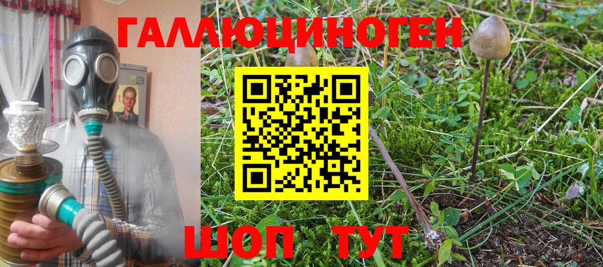 Галлюциногенные грибы прущие грибы Усинск